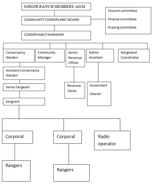 Organizational Structure